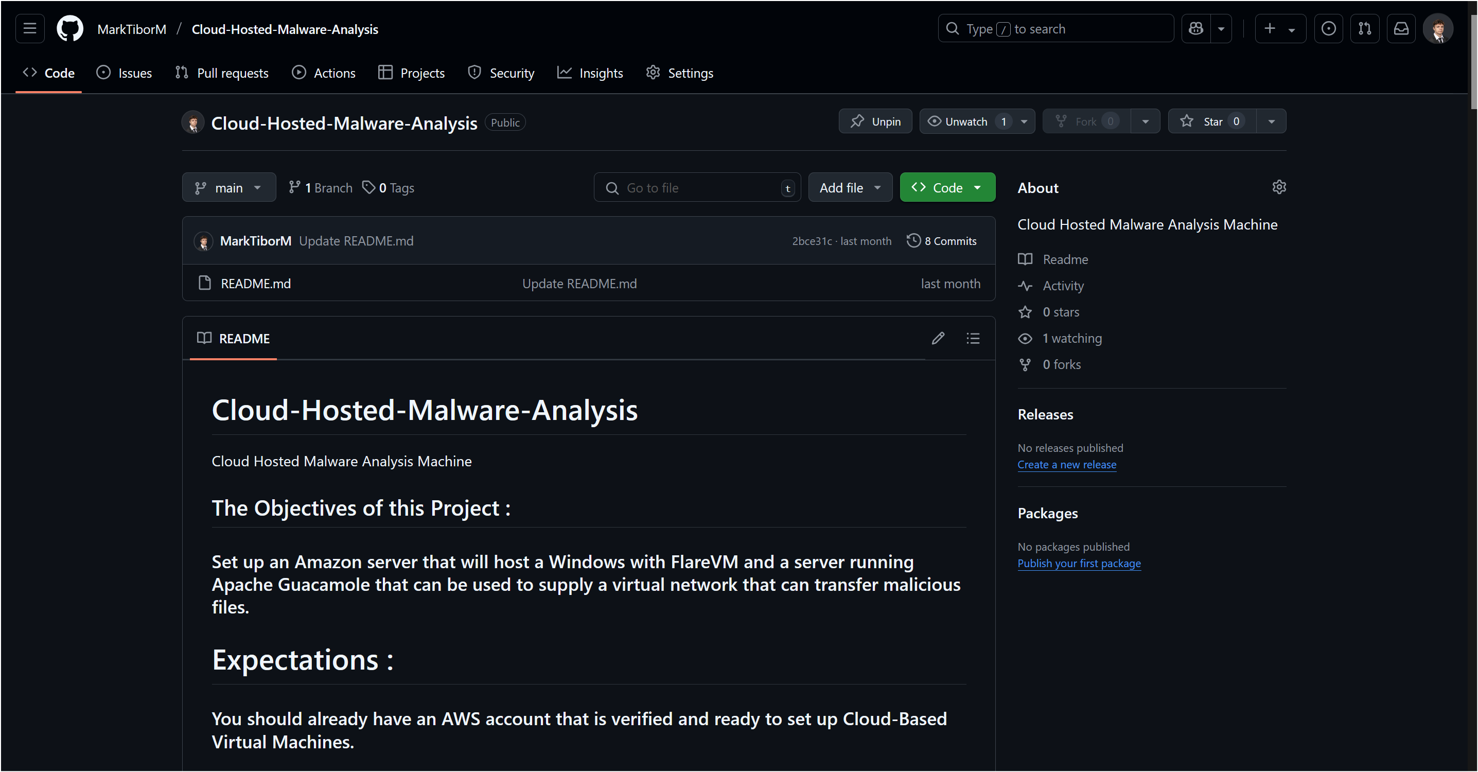 Cloud-Hosted Malware Analysis