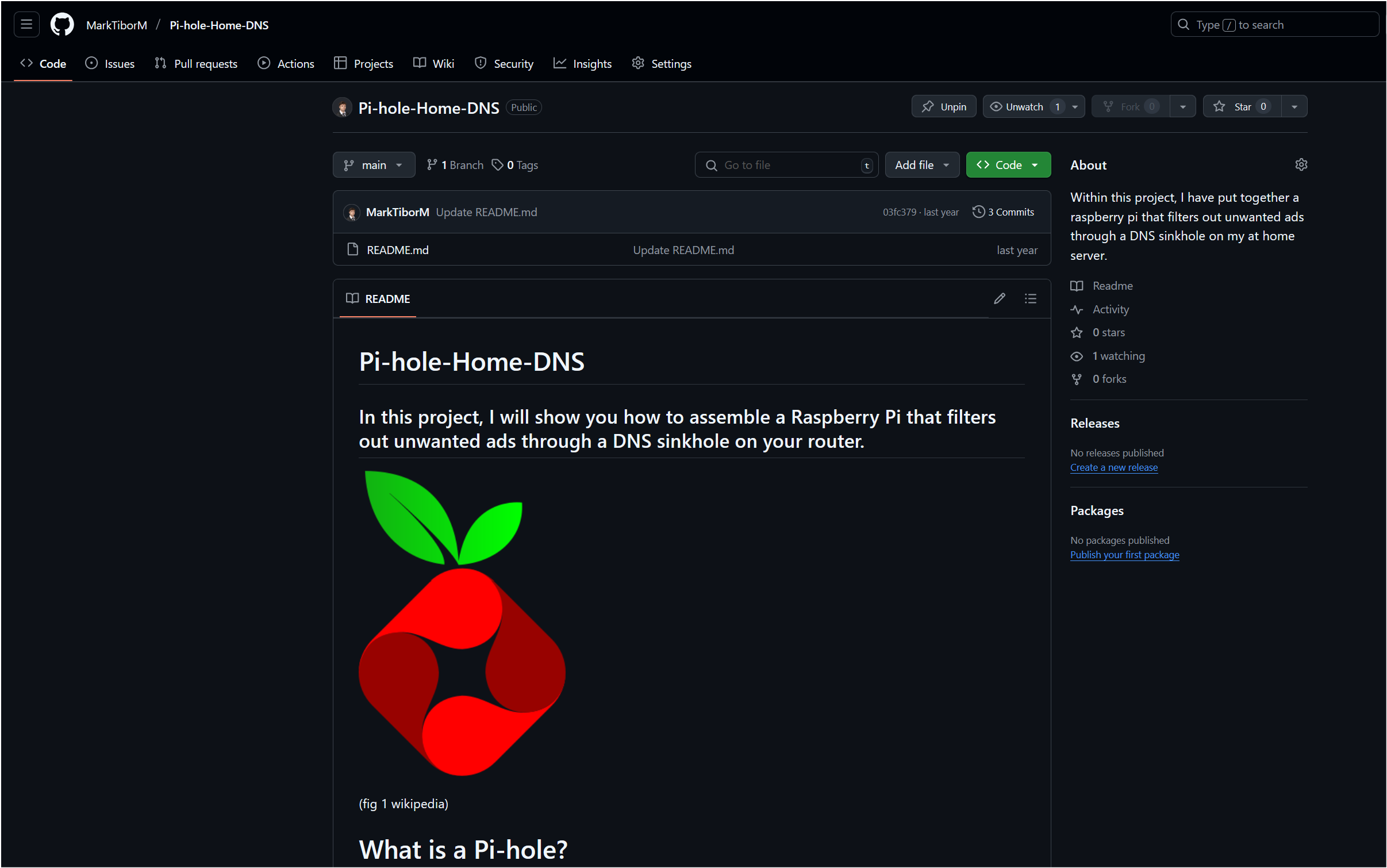 Pi-hole Home DNS